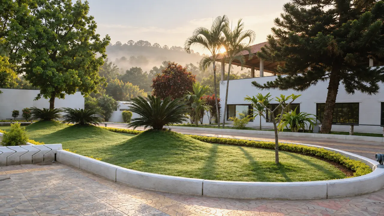 The lawn and its hedged island in the morning